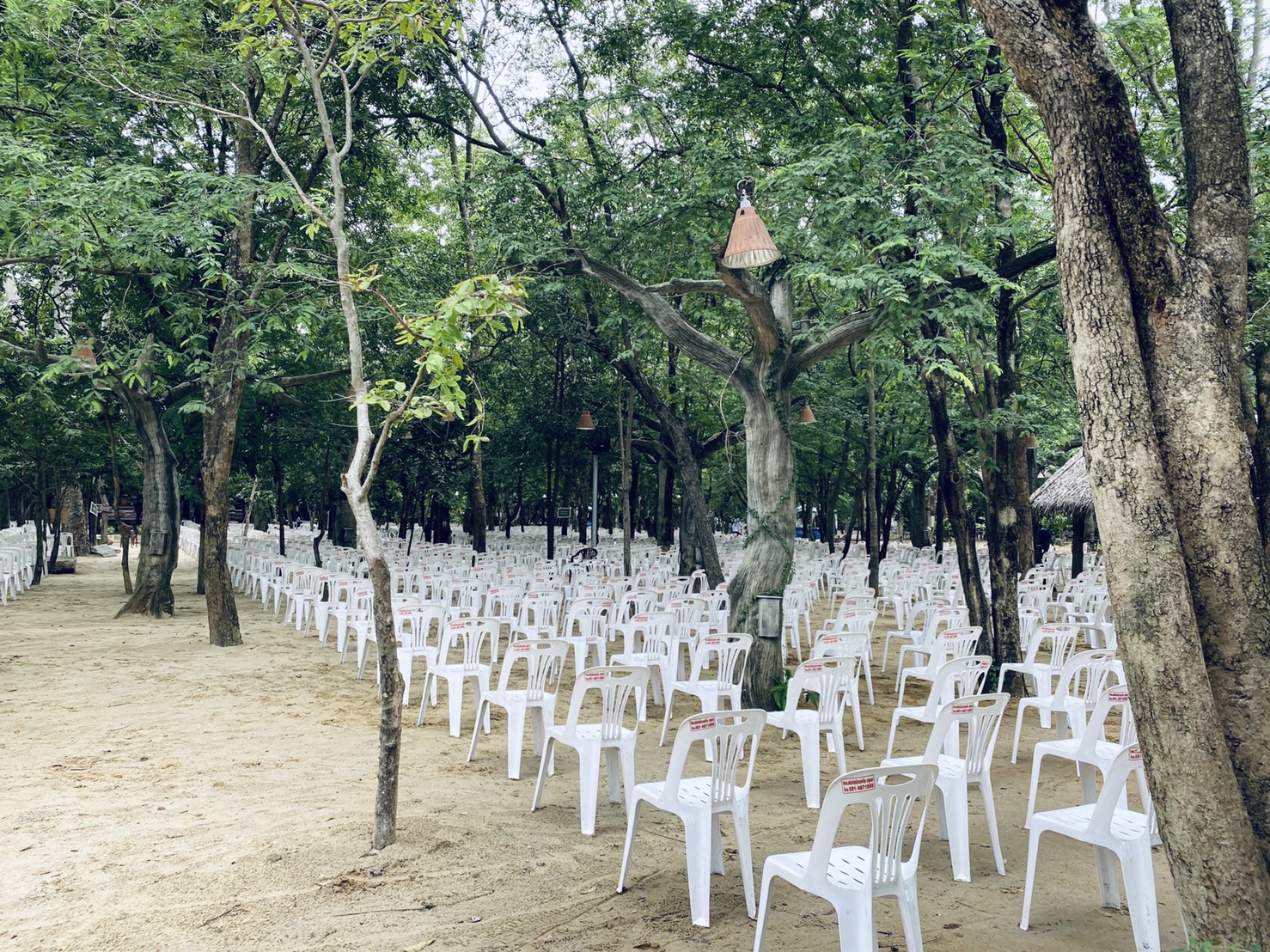 เก้าอี้อยุธยา